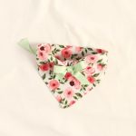 Griffy & Drake Bandana view 1