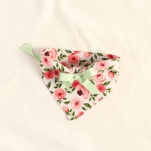 Griffy & Drake Bandana