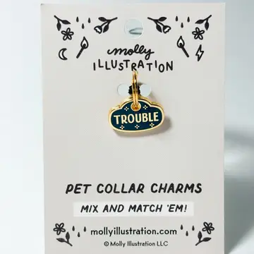 Pet Collar Charm view 5